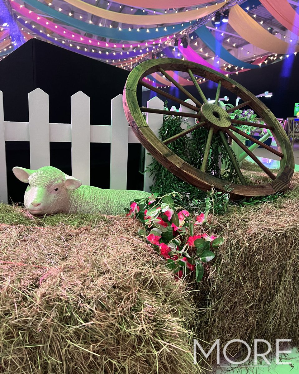 Bringing the farm-fresh vibes &amp; rustic charm to <a href="/Morrisons/">Morrisons</a> Big Night Out🐓🌽🚜

A big thanks to <a href="/n2ocial/">N2O Brand Activation</a> for letting our creativity run wild!

Thank you to our awesome foliage &amp; floral supplier @hybridflowerco

#farmtheme #eventprofsuk #eventdesigners #morrisonsbignightout