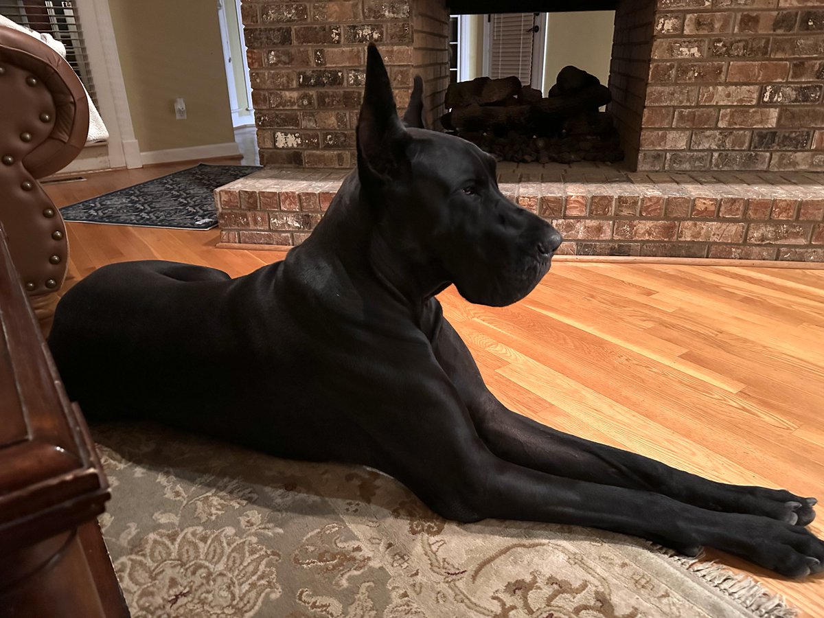 Me a Glamor Boy, having our morning coffee.