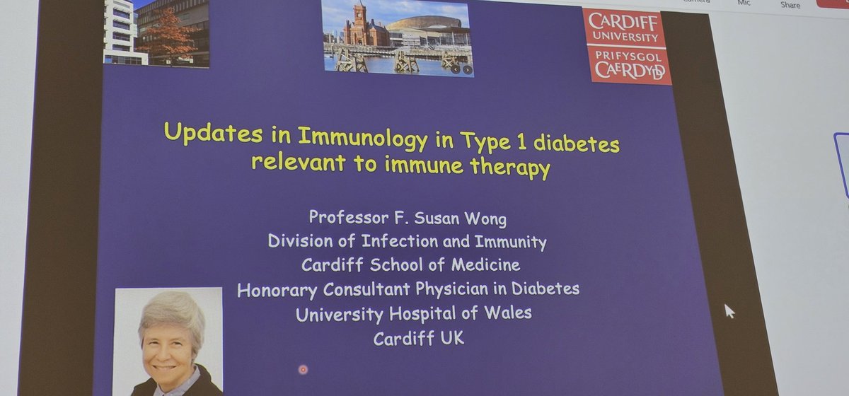 ACDC_UK's tweet photo. The superb Prof Susan Wong giving an enlightening talk on recent updates on #T1D and immunology at #ACDCAston https://t.co/twk4YaydZC