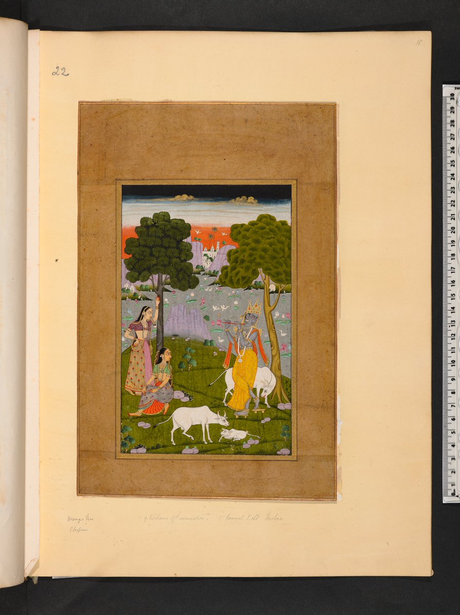 Coming back to Oxford for a month this summer thanks to a David Walker Memorial Fellowship <a href="/bodleianlibs/">Bodleian Libraries</a>. I will be continuing my research on the wonderful collections of Francis Douce