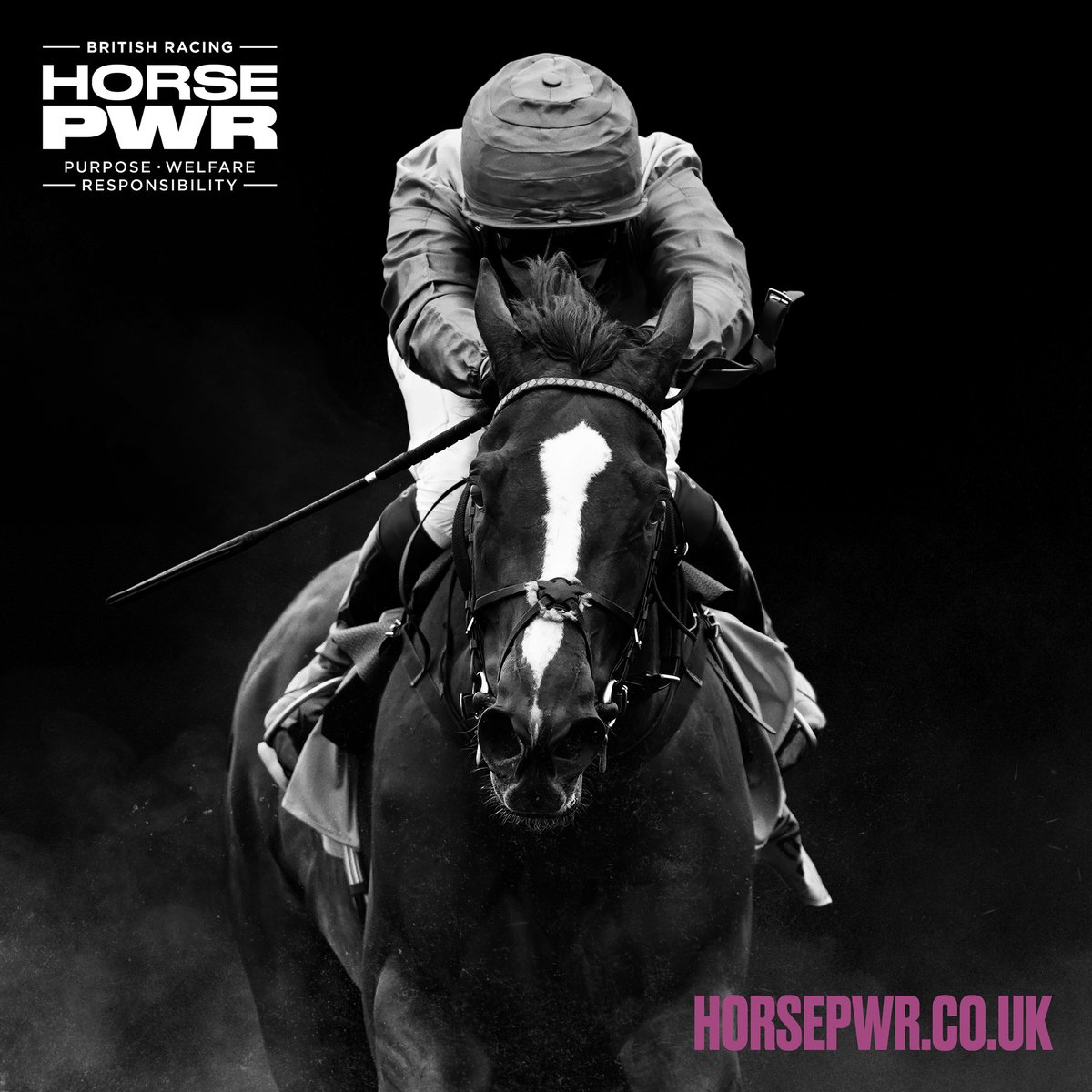 'This is just the start. Public trust in racing cannot be taken for granted; we have to continue to earn that trust.' The BHA's Head of Communications, and @WelfareBoard member Robin Mounsey talks about the launch of and the ambitions to take the #HorsePWR campaign to wider