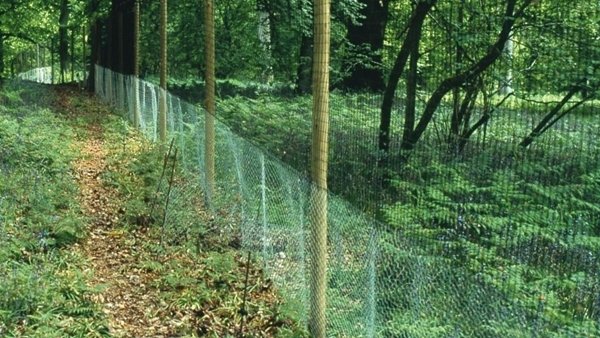 🤔What makes the perfect pheasant release pen? We've put together some key considerations and tips for building an ideal environment for your birds. gwct.org.uk/blogs/news/202…