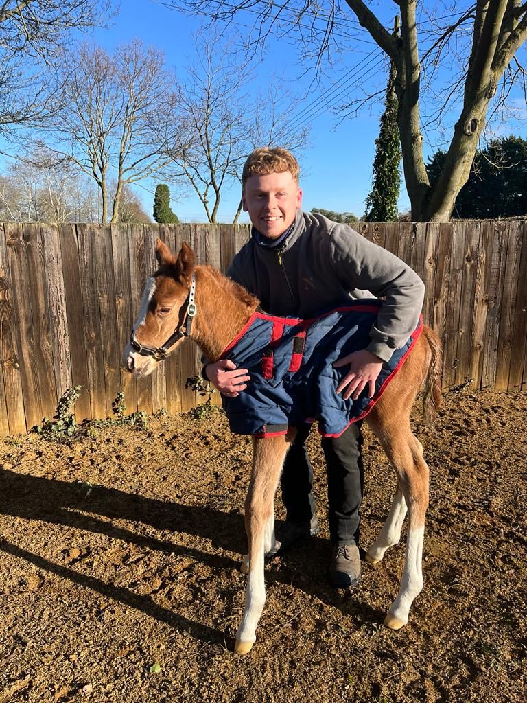🎉Congratulations to our Level 3 students Matthew Daubeney & Adam Holland who have been accepted onto the @FlyingStartNews We have helped them handle stallions and deliver foals for the first time, including the first Stradivarius foal! 🚨Applications for the 2024/25 are open!