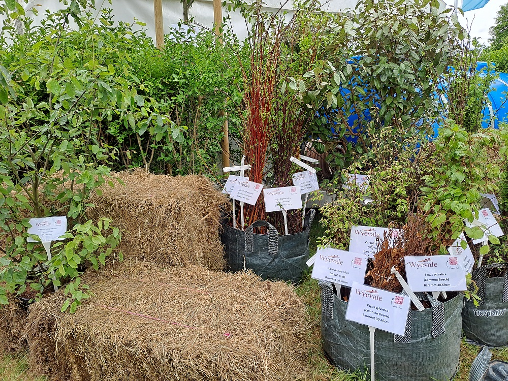 Will @GlosCC Greener Gloucestershire Trees team see you at the ARB Show @WestonbirtArb TODAY, May 18? Here’s Alan helping with the set-up earlier in the week. Pop along to Plot B02. See our trees & plants on show. tinyurl.com/3mt6w5xc#ameni… @ArbAssociation