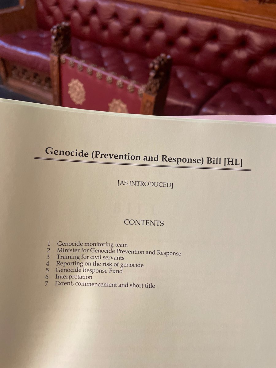 The Genocide (Prevention and Response) Bill concluded all stages in the House of Lords and is now going to the House of Commons!