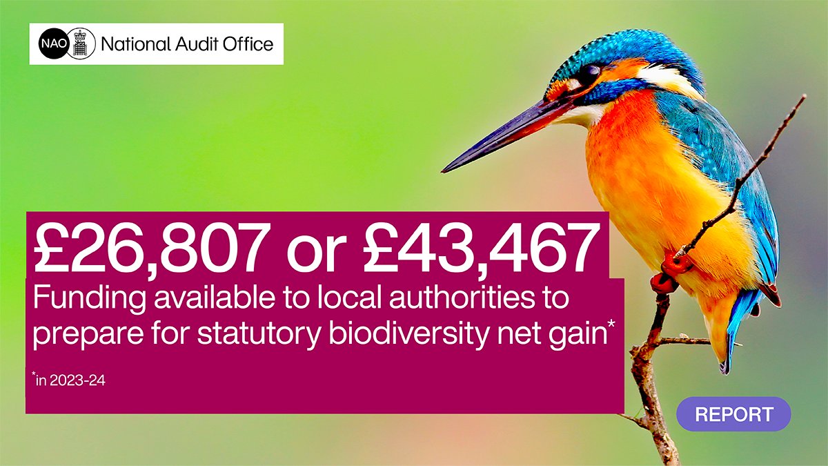 Government provided either £26,807 or £43,467 to help authorities prepare for new biodiversity rules. Defra acknowledged mixed readiness among local authorities at launch. More: nao.org.uk/reports/implem…