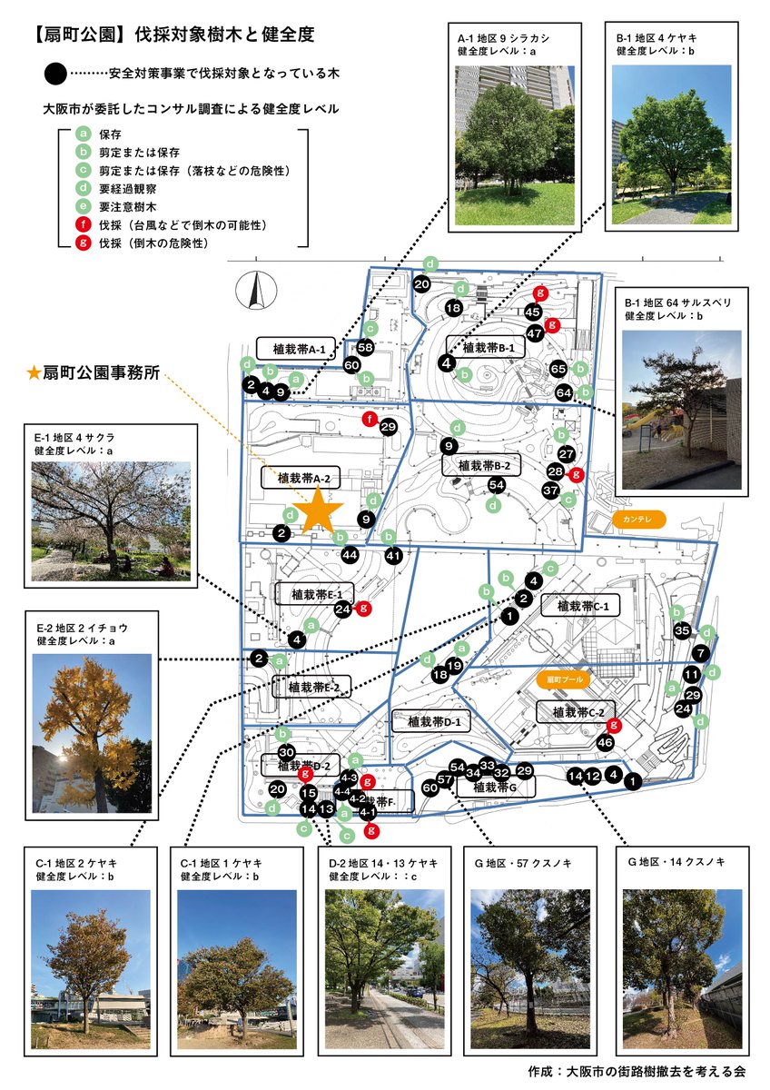 伐採対象の56本の樹木のマップです。 ”本当に切る必要があるのか？” 現場に行って確かめてみませんか？ チラシのデータはこちらから自由にDLしてください。 　⇩ drive.google.com/drive/folders/… ＃STOP大阪市の樹木伐採 ＃524扇町公園　＃この木を守りたい