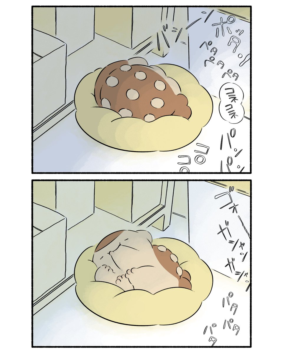 パン屋のフクちゃん③
#漫画 #恐竜はじめました 