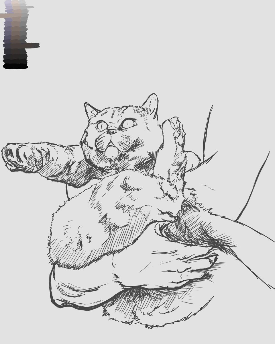 Study on how to draw fur, using a photo of @sabakunomaiku (the arms) and Ponga