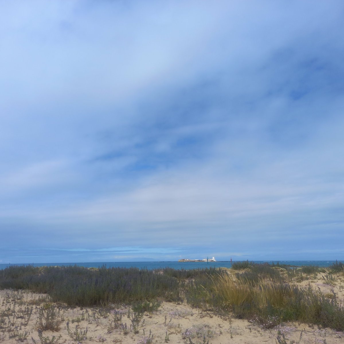 Dunas y caños.
Sancti Petri.
Chiclana.