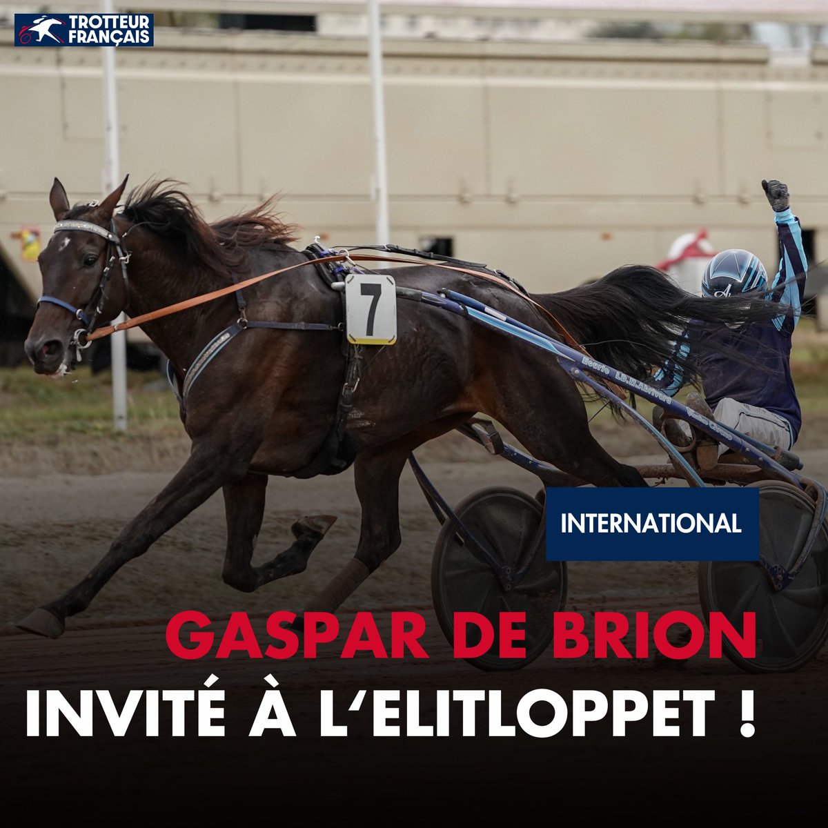 🚨 Un nouveau français pour l’Elitloppet 2024 !