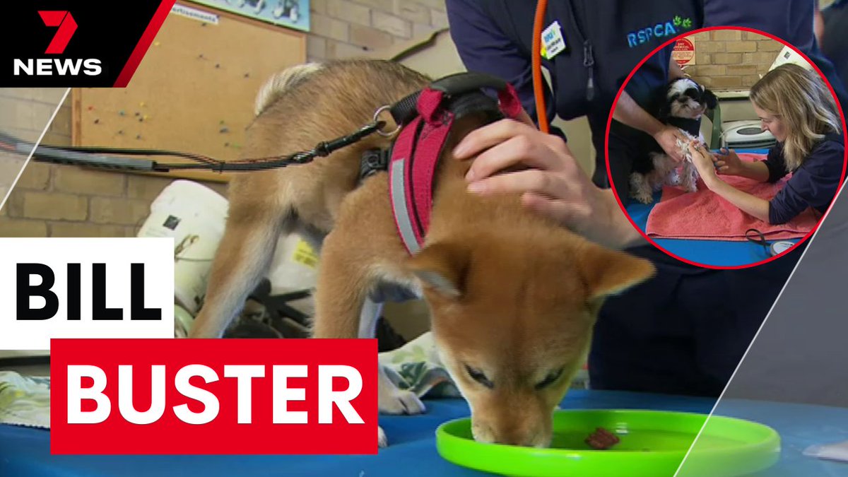 Pets are paying the price in Australia’s affordability crisis as cash-strapped owners ditch visits to the vet. It has prompted the RSPCA to run pop-up clinics to help Victorians slash the cost of animal check-ups. youtu.be/TJf6F4G0EOw @KristyMayr7 #7NEWS