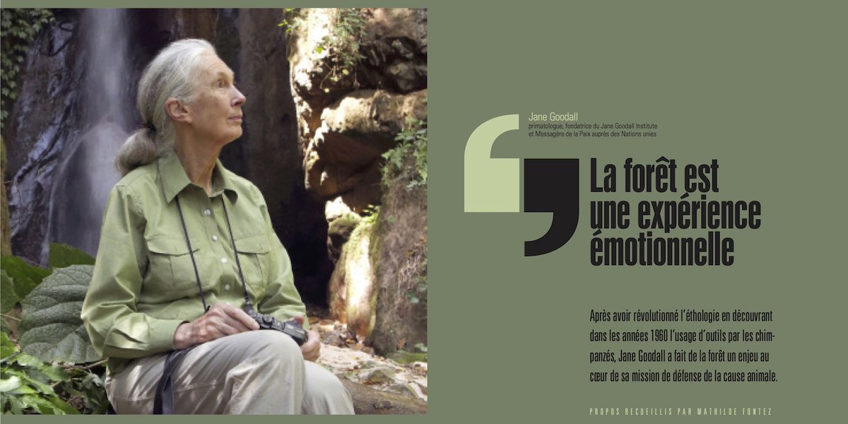Des interviews en majesté : @FontezMathilde a discuté avec Jane Goodall, @ValinMuriel avec Thomas Cailley…