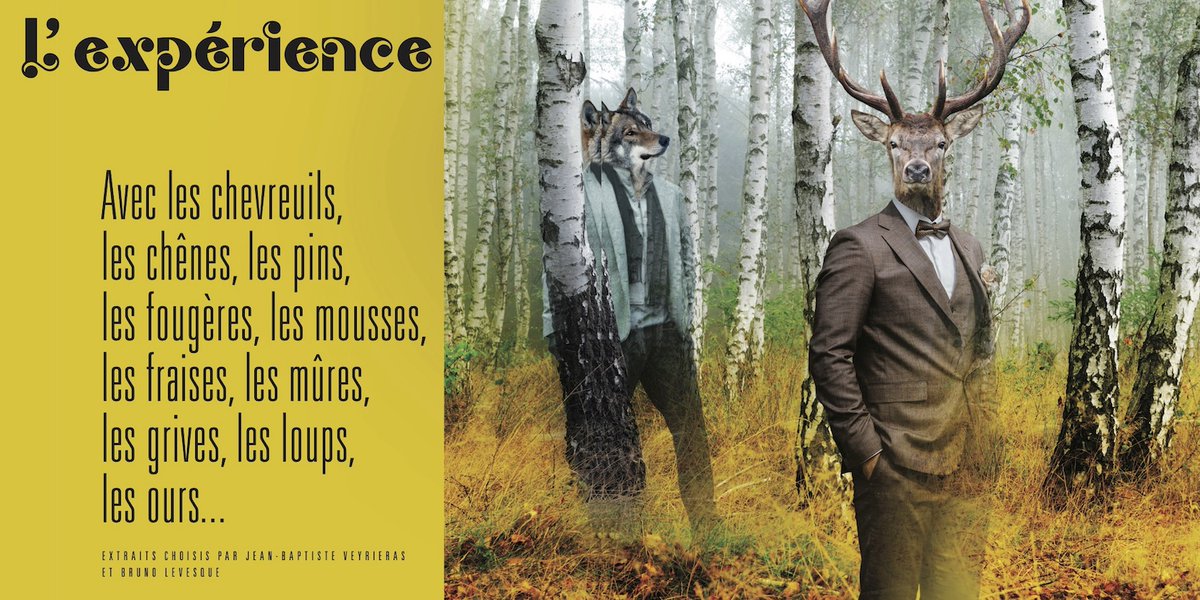 Lea_Des's tweet image. Une expérience ou plutôt des expériences, celles d’auteurs qui nous racontent avec émotions leurs voyages en forêt ; des extraits finement choisis par Bruno Levesque et Jean-Baptiste Veyrieras.