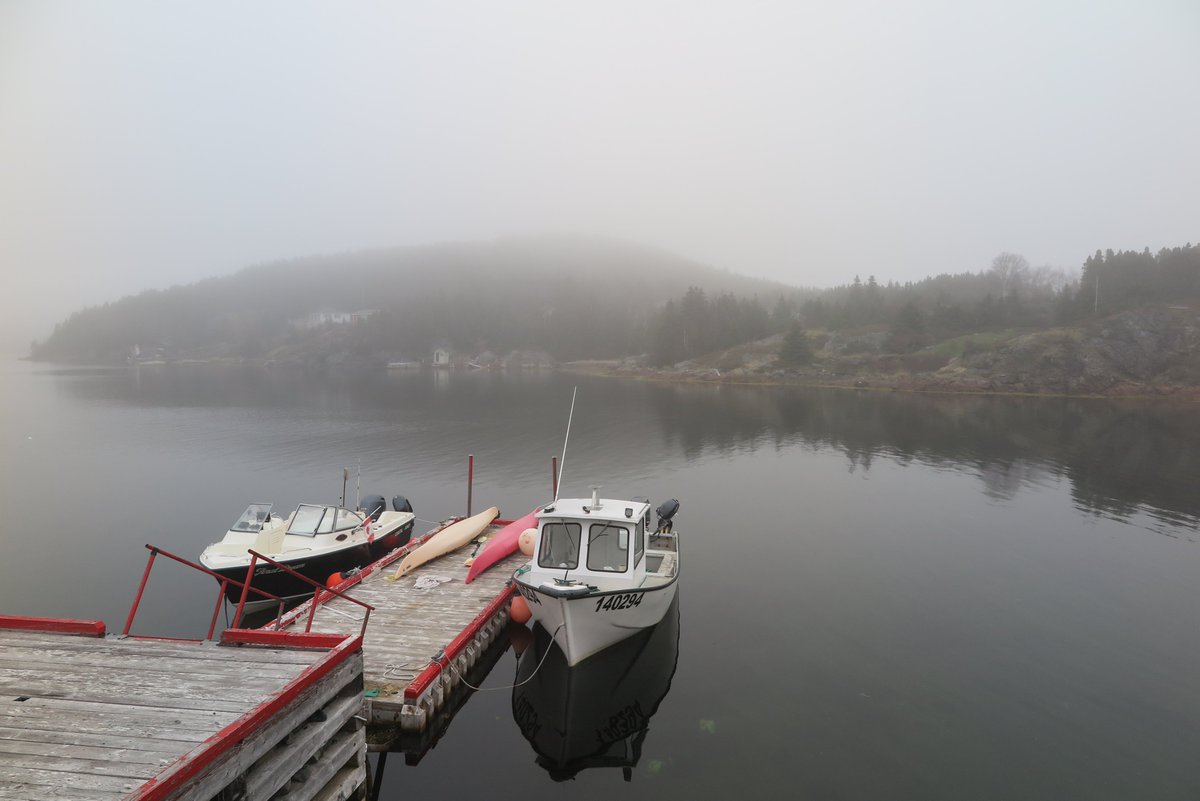 Good morning from foggy Little Bay Islands #newfoundland #nlwx