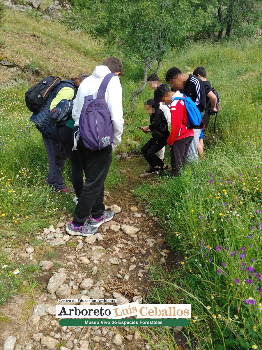 🌄Continuamos con la campaña de @eacieloabierto compartiendo las actividades que realizamos en el Arboreto y en la naturaleza que nos rodea.