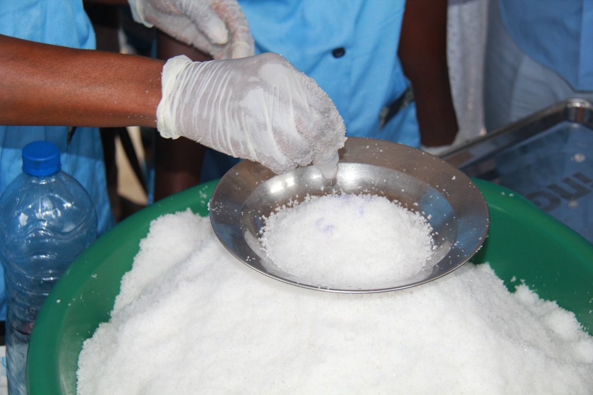 Les partenaires du #ProSel ont visité aussi le site de production du sel marin séché de Djègba Hounta & échangé avec les saliculteurs/trices de la commune de Ouidah. Le projet #ProSel est le fruit du partenariat entre @gouvbenin, le Fonds #IBSA 🇿🇦🇧🇷🇮🇳 & PNUD #CooperationSudSud