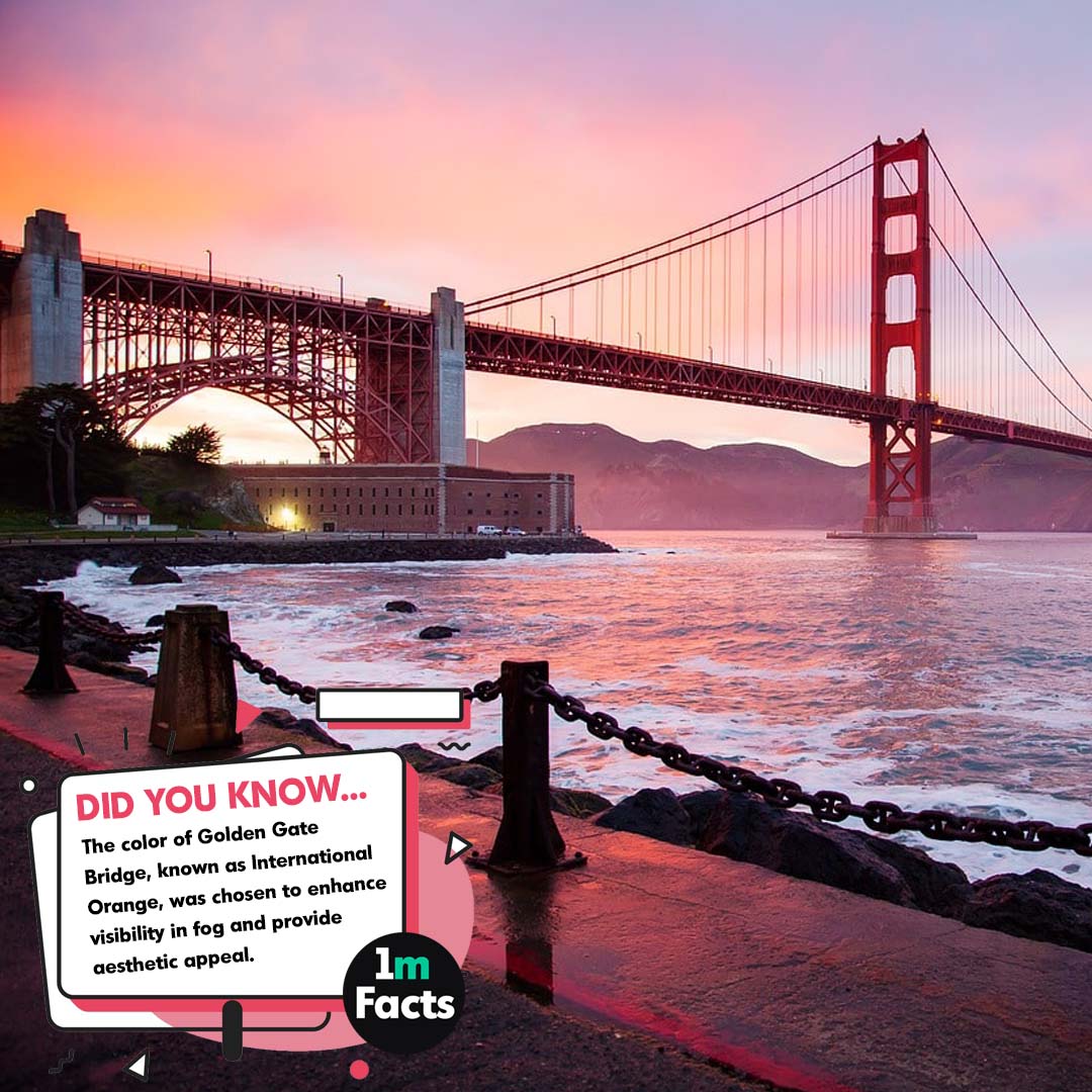 50 Golden Gate Bridge Facts That Will Blow Your Mind
1mfacts.com/50-golden-gate…
#goldengatebridge #sanfrancisco #california #bayarea #iconicbridge #architecture #landmark #sunset #westcoast #bridgelovers