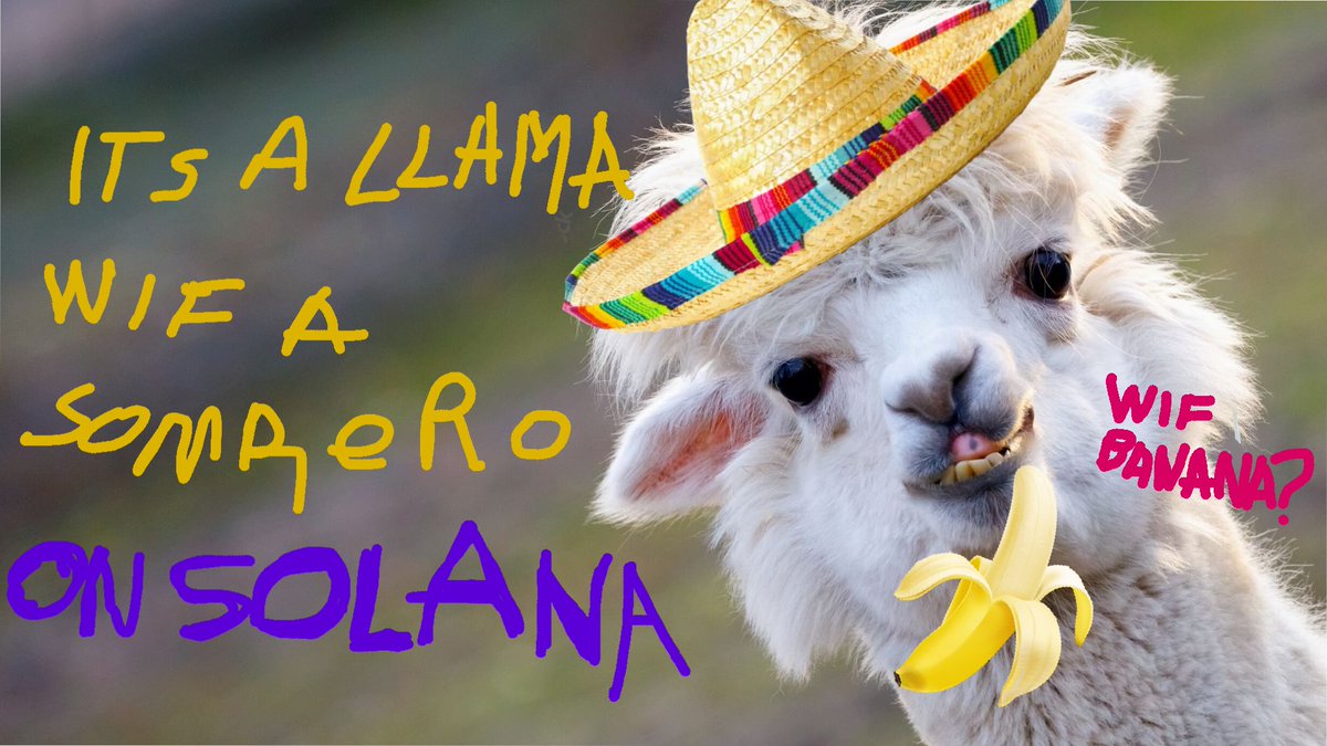 hola_soyllama's tweet photo. @blknoiz06 LLAMA ON SOLANA WIF BANANA https://t.co/Y1swhdVshe