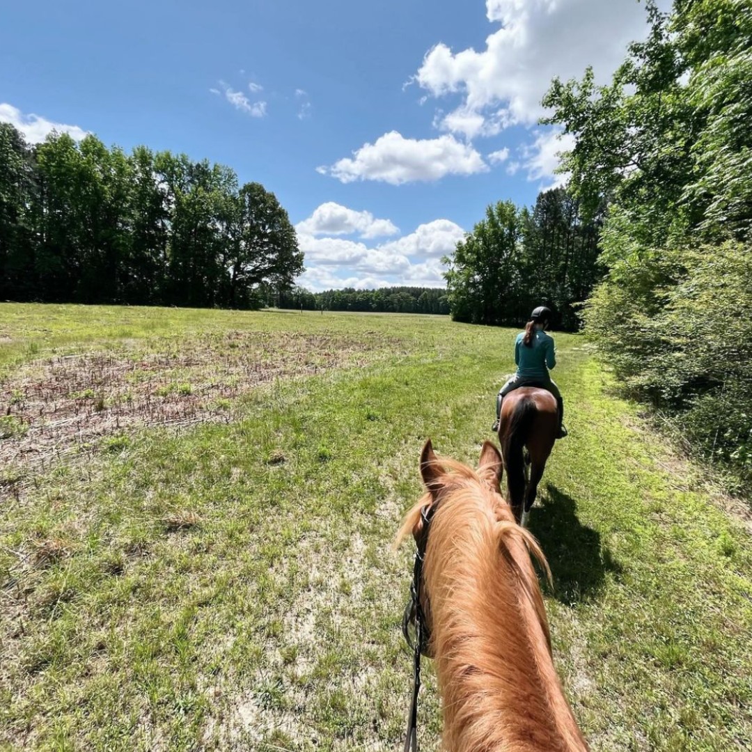 This little slice of horse riding heaven at #SandyPines Preserve is courtesy of Instagram's go_mommyonapony. #FridayFeature