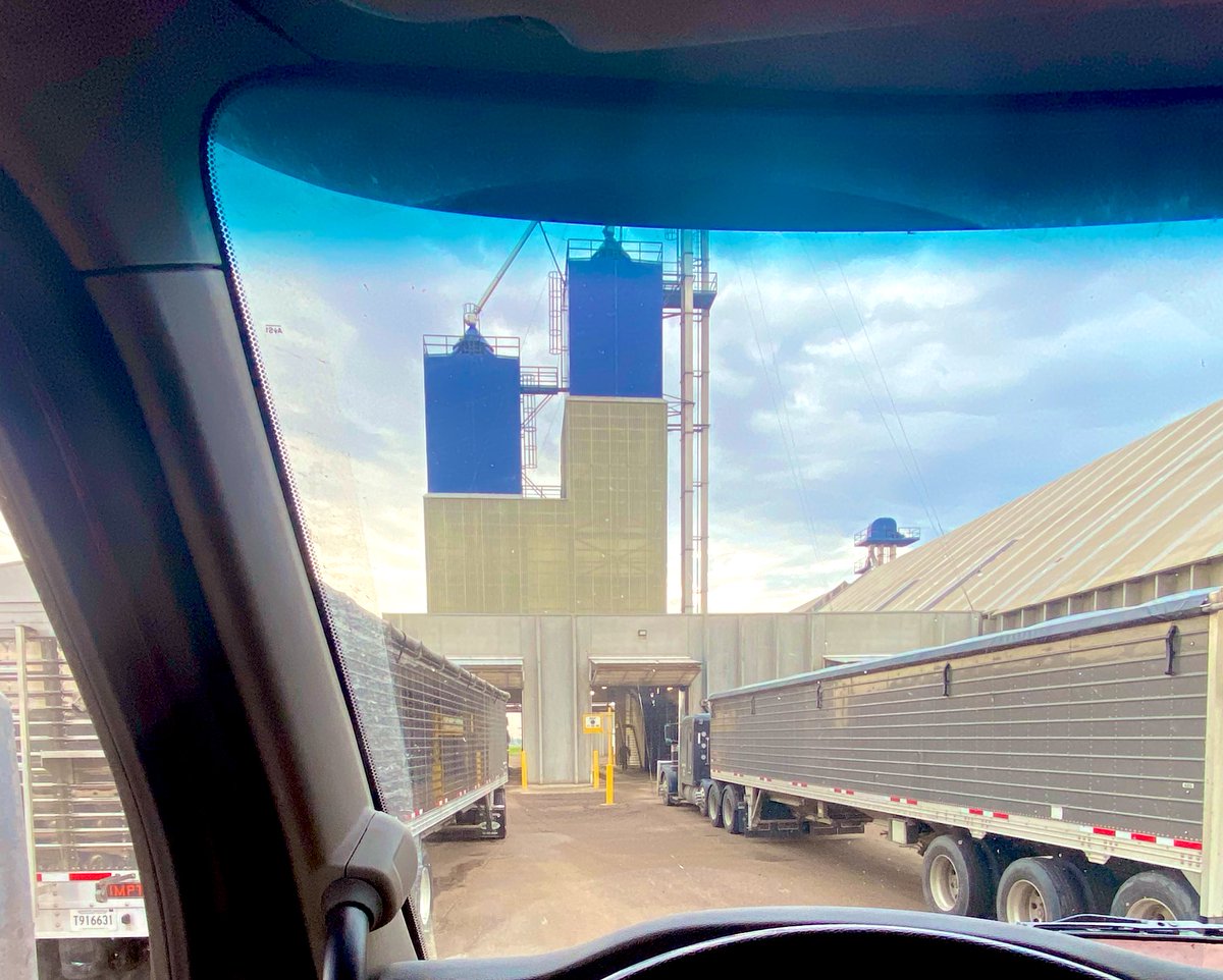 Hard to understand what motivates truckers. All these guys would rather get out, walk thru the slop, climb those stairs, just to give the load info. Instead of simply texting it to the pretty little load out gal.