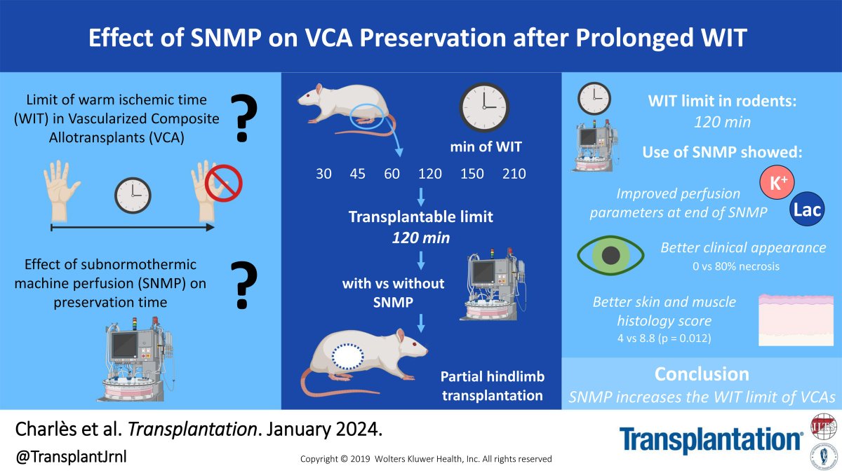 Charlès et al report on warm ischaemia time (WIT) and ischaemia-reperfusion injury vascularised composite for allograft (VCA) #transplantation. #TransplantTwitter #MedTwitter tinyurl.com/4rknnpua