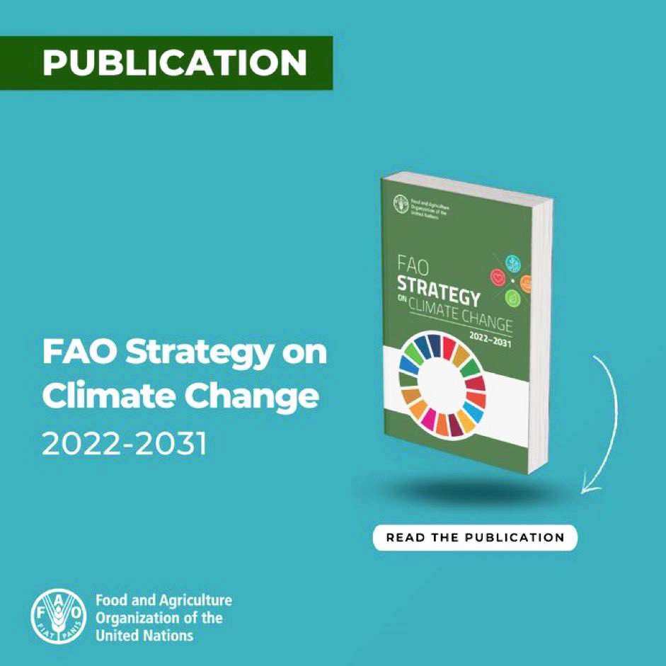 We cannot address the #ClimateCrisis or end hunger without decisive #ClimateAction in agriculture & food systems.

@FAOclimate Change Strategy supports countries with innovative solutions for adaptation & mitigation. 

👉🏾bit.ly/3E3oC3Y🌍