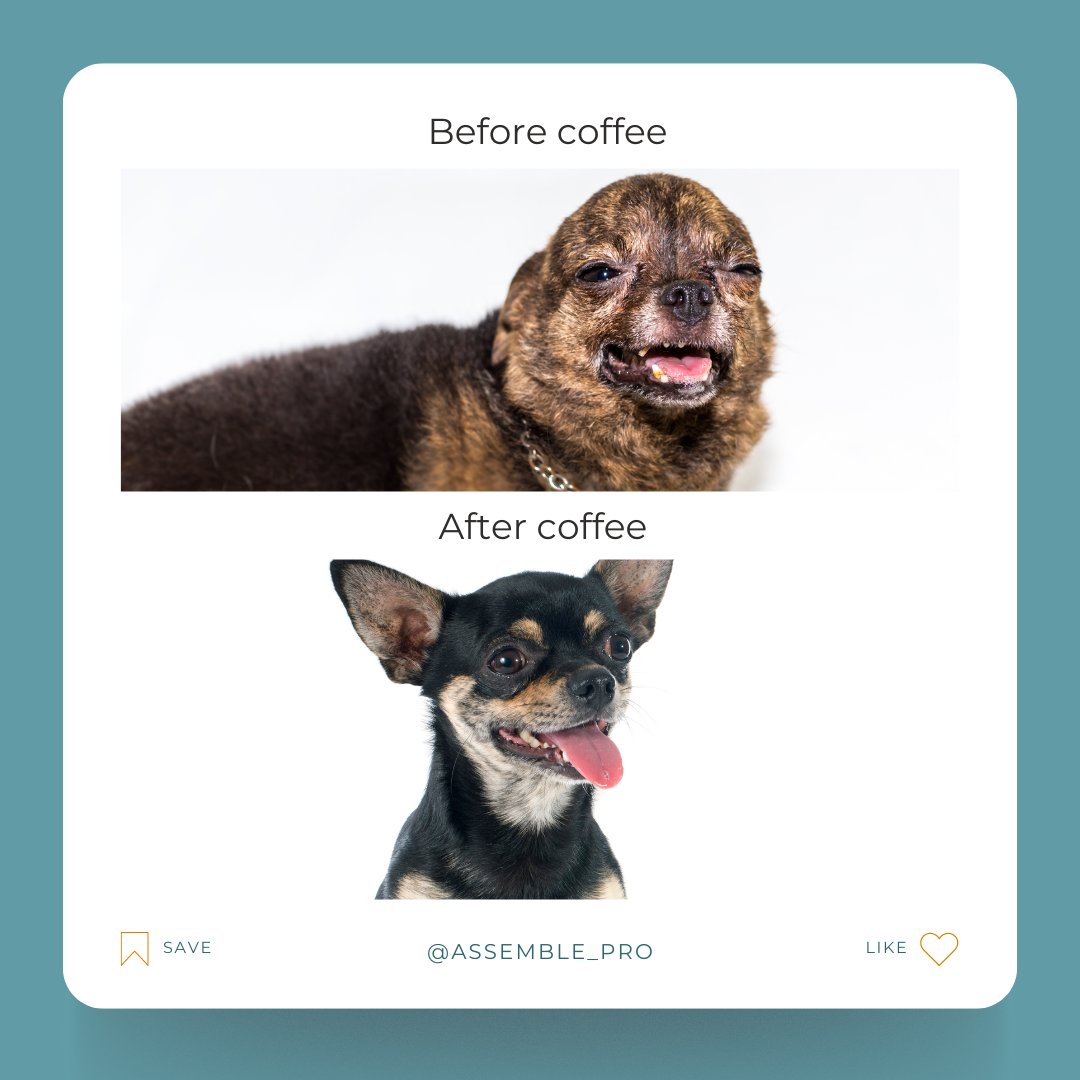 assemble_pro's tweet photo. Where are our video editing pals at? ☕️ Before coffee: 😴 After coffee: 🎬🔥 How do you relate to this? Lol 😜 #CoffeeMagic #VideoEditingLife https://t.co/Wy2O2fFxcG