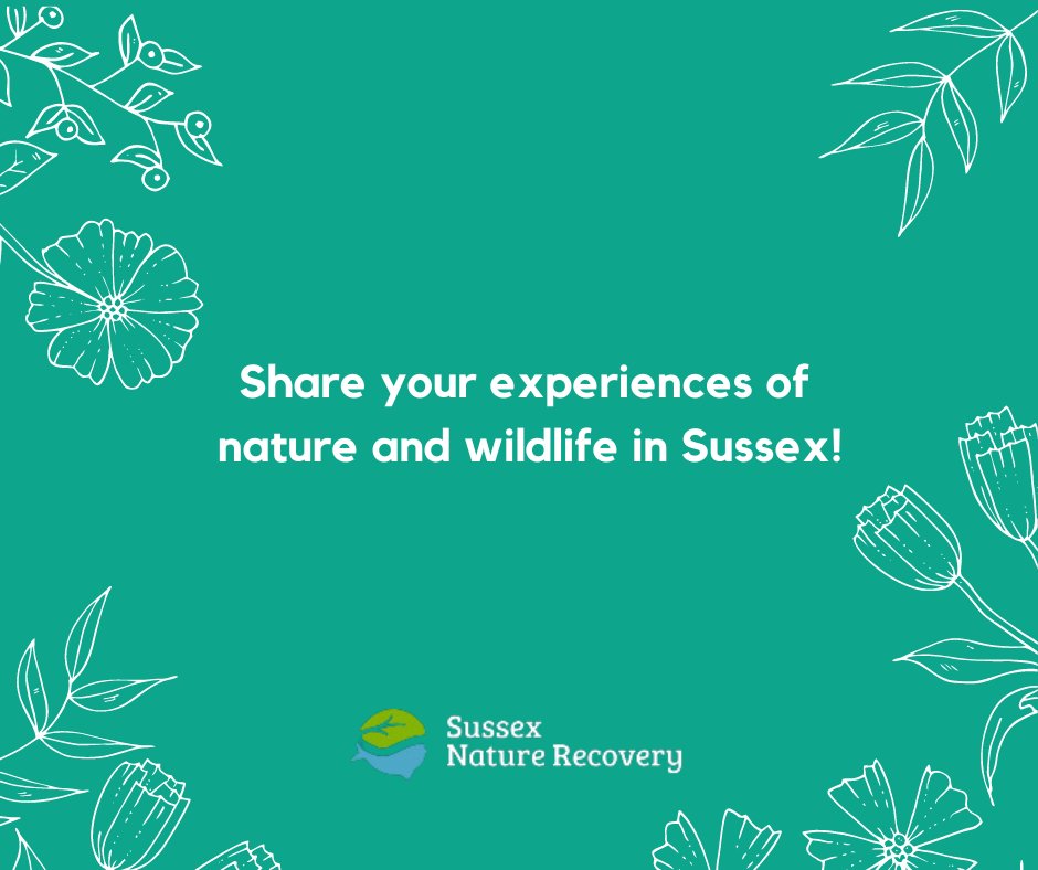 🐯 🐠 Sussex residents are invited to share their experiences and observations of nature and wildlife in Sussex. 🦋 🐾

👀 For more info visit → sussexnaturerecovery.org.uk 

 #sussexbusiness #business #smes #startups #startupbusiness #ukstartup