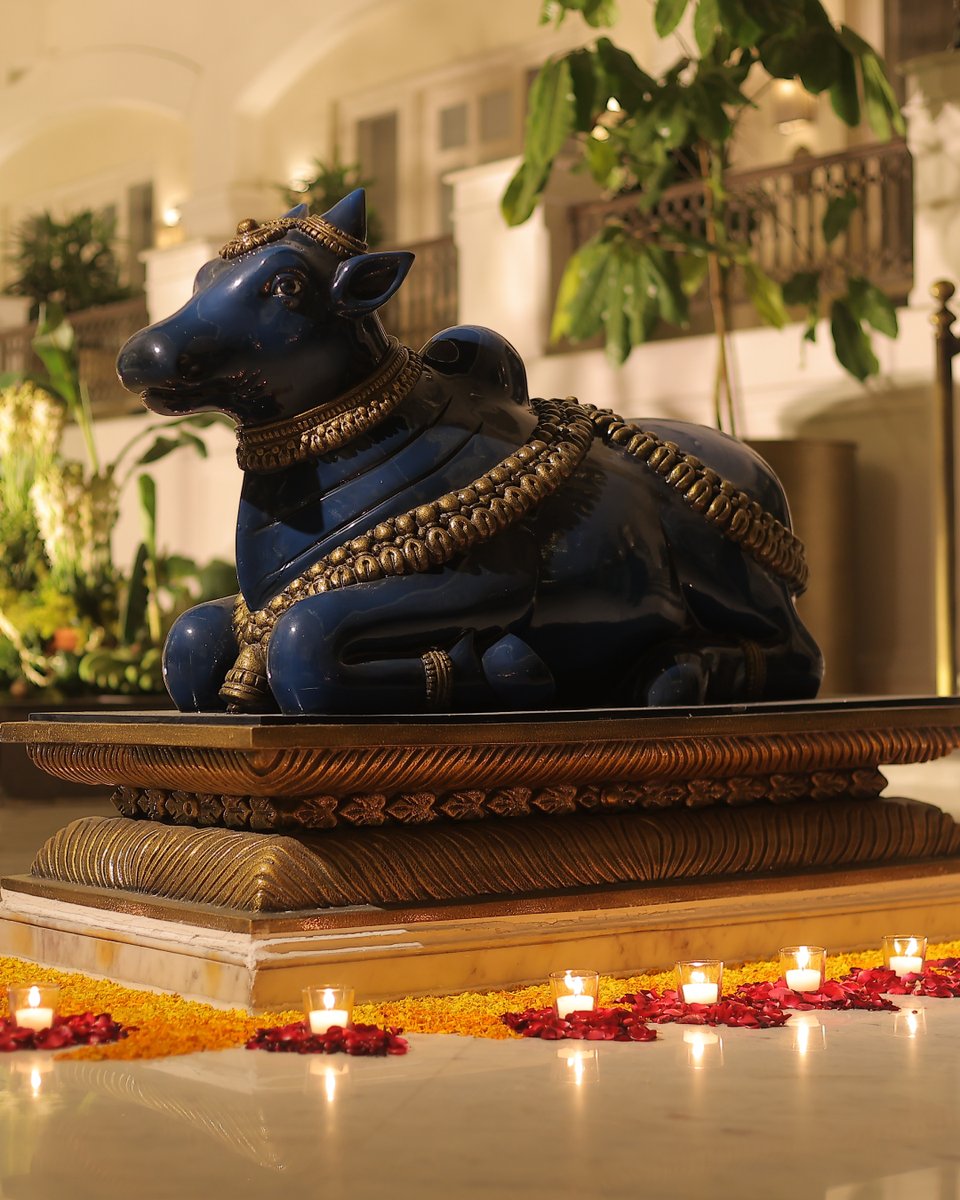 A regal manifestation of Neelkanth blue, the Nandi statue sits as a silent sentinel in a timeless courtyard, imbuing our hallowed walls with an air of reverence.

Enquiries: +91 72170 25223

#PilibhitHouse #SeleQtions #IHCL #NamedCollection #ExperienceSeekers