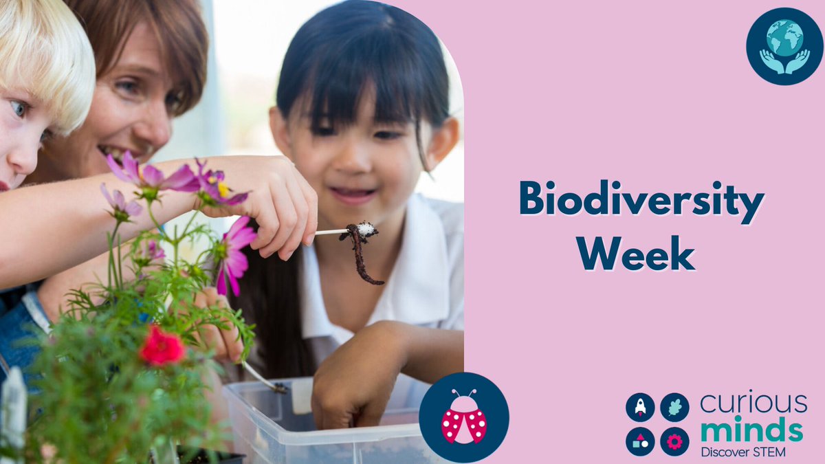 Today marks the beginning of Biodiversity Week, which is all about connecting with nature, learning about the importance of biodiversity and how to protect it 🍃 Find events near you: biodiversityweek.ie/events-calenda…