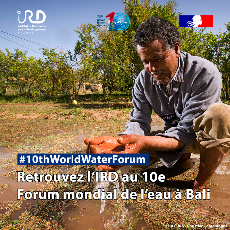 #10thWorldWaterForum|👉 L'#IRD est mobilisé au 10e forum mondial de l’#eau à #Bali🇮🇩 du 18 au 24 mai 💧Les chercheurs de l’#IRD & leurs partenaires participeront à plusieurs sessions du programme officiel et des side event : ird.fr/retrouvez-lird… #WaterforSharedProsperity #SDGs