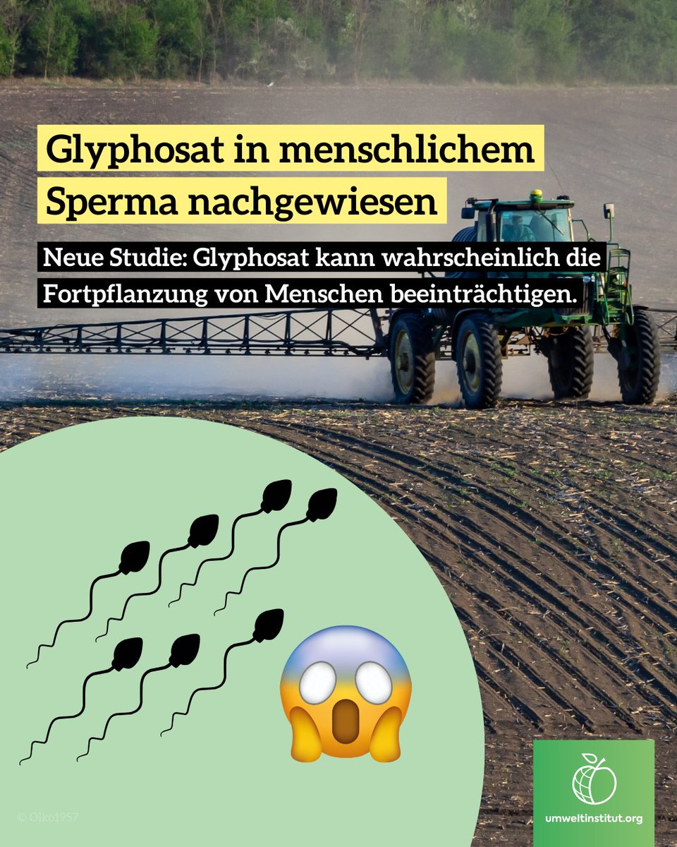 Die Studie konnte bei 73 v. 128 unfruchtbaren Männern #Glyphosat im Samenplasma nachweisen. Glyphosat verursacht oxidativen Stress & schädigt Zellen. Die Schlussfolgerung: Glyphosat schadet damit wahrscheinlich der Fruchtbarkeit. 
👉 Zur Studie: sciencedirect.com/science/articl…