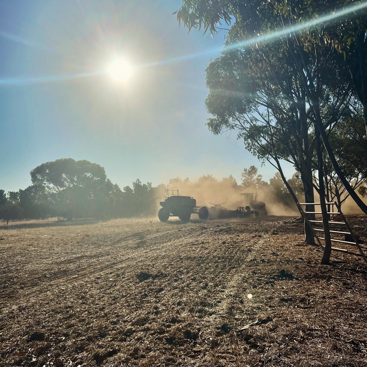 One word to round out #plant24 would be… Dusty!
A multi species moo chew mix on our home block was the last to be sown today 🐮🌾
Let’s hope that opening rain is closer than we think…🤞🏻
#dustyaf #robinsonfarms #caseih #johndeere #ausag #southaustralianfarmers #abundant #moofood