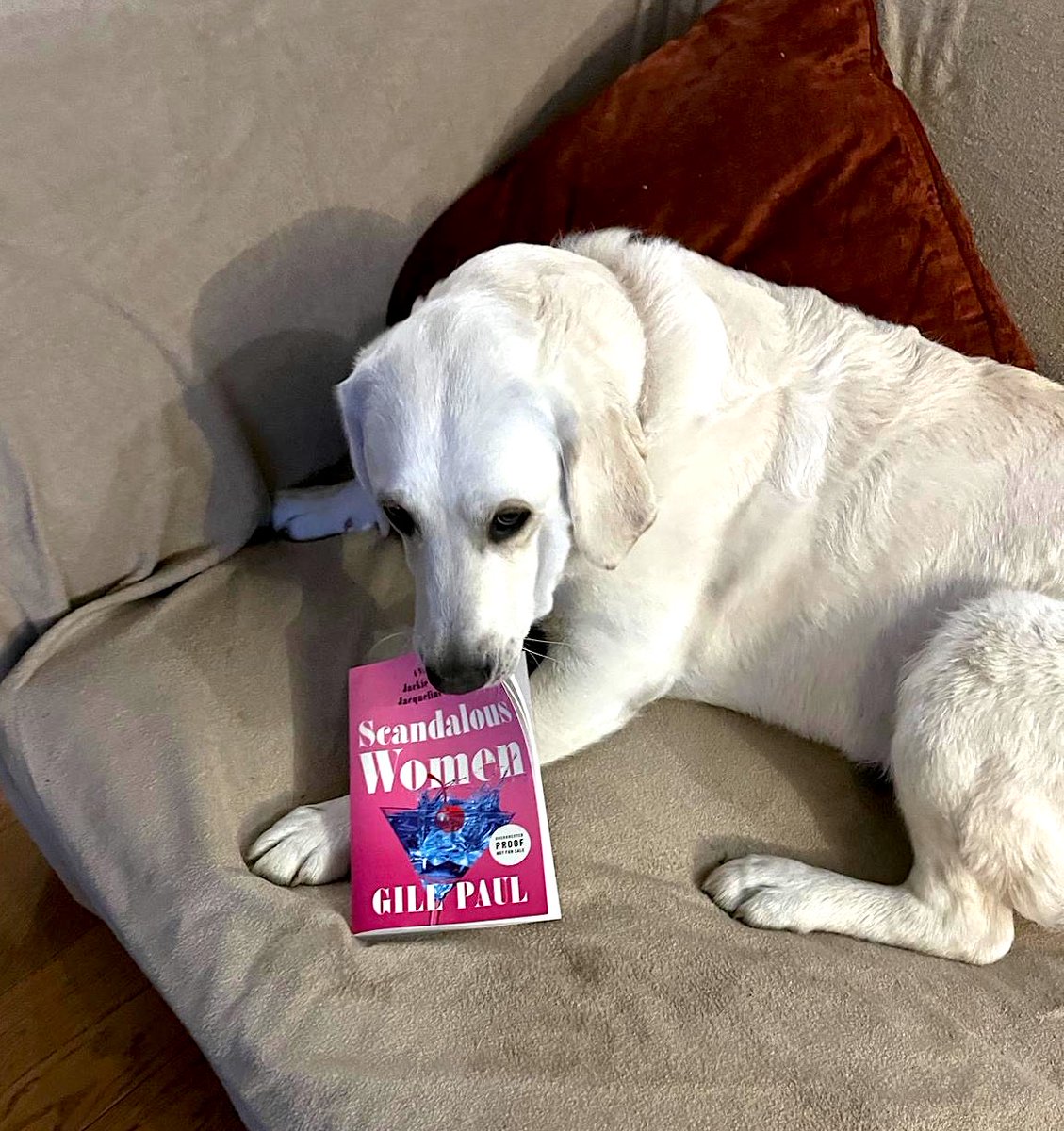 There's a @Goodreads #giveaway of SCANDALOUS WOMEN for US and Canadian readers, starting today and finishing May 29. Hurry before Nell eats them all! goodreads.com/giveaway/show/… @williammorrowbooks @bookclubgirl #booksworthreading #bookstagram