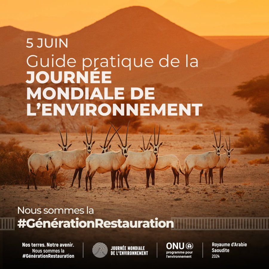 Tout le monde peut et doit faire partie de la #GénérationRestauration en faisant des choix intelligents et en prenant la parole.

Ce guide explique comment les entreprises, les gouvernements & les particuliers peuvent agir #JournéeMondialeDelEnvironnement

buff.ly/3NSHSV0