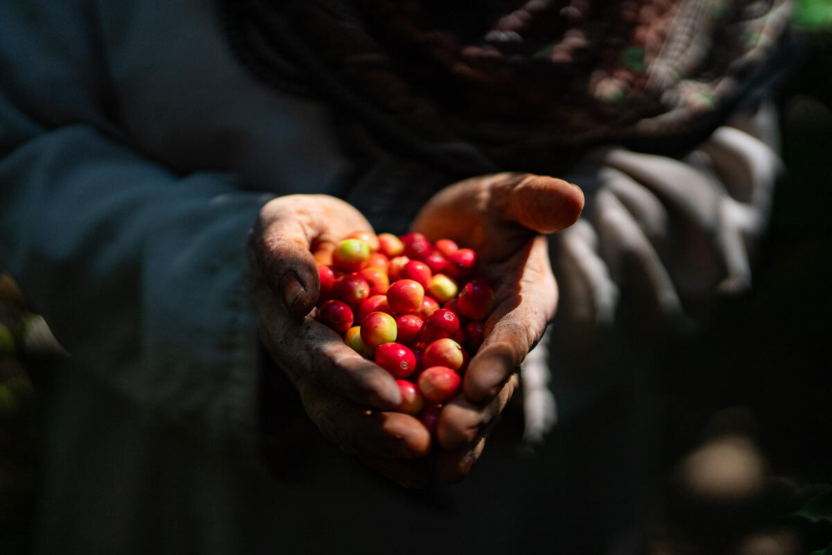 The right to food does not discriminate. Today and every day, WFP celebrates diversity. 🥣🌈 💙 On May 17th, we stand in solidarity with the LGBTQI+ community against homophobia, transphobia, and biphobia. We stand committed to fostering an inclusive world for all. #IDAHOBIT