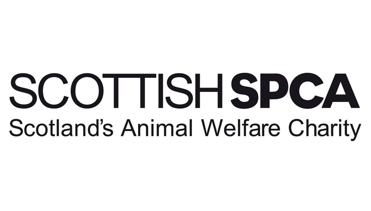 Interested in working with the @ScottishSPCA? 🐕

Recruiting Animal Care Assistants in #Dundee and #Cardonald

Find out more and apply ow.ly/FChv50RIyGc

Closing dates 24 May 

#AnimalJobs #DundeeJobs #GlasgowJobs