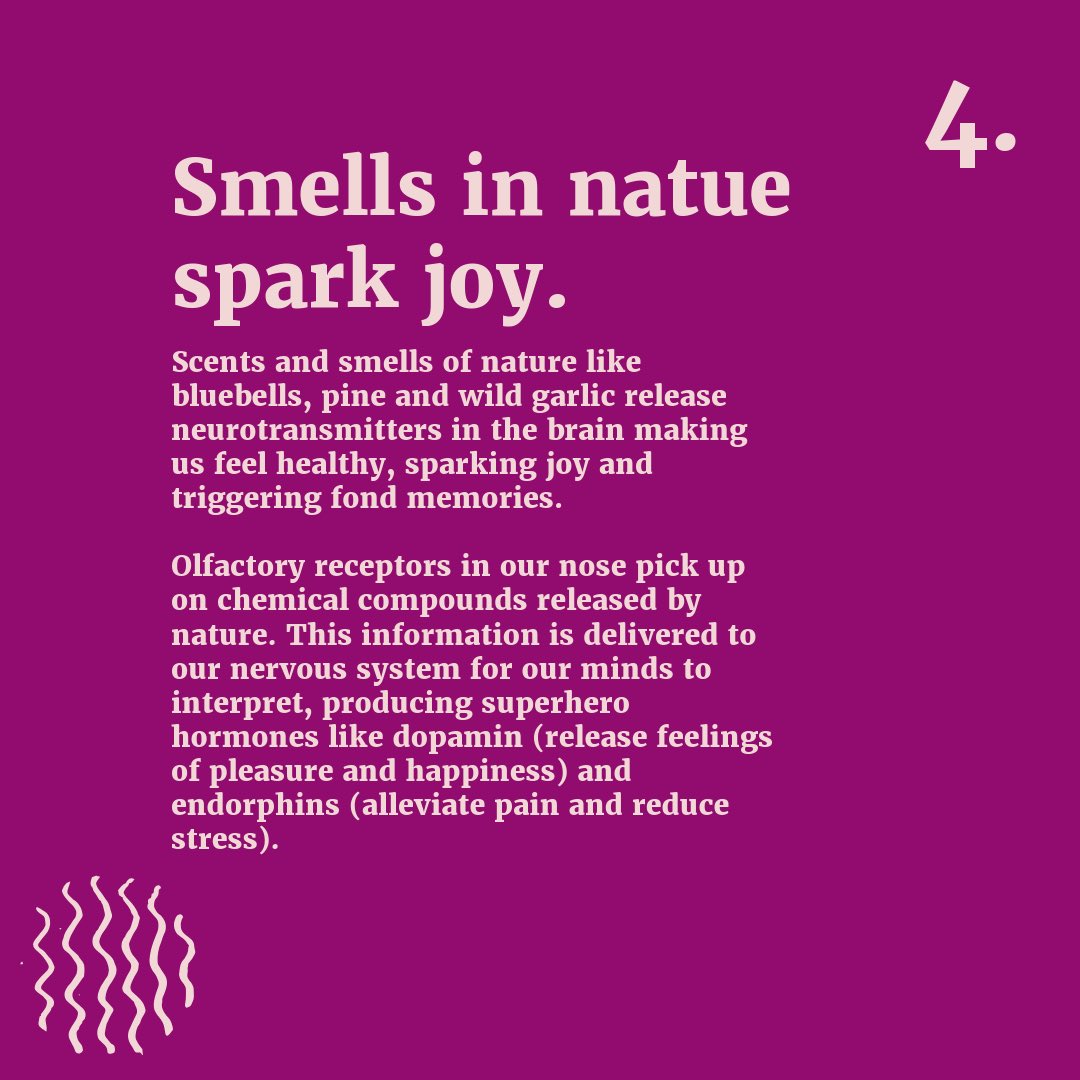 🌿 𝗡𝗮𝘁𝘂𝗿𝗲 𝗯𝗼𝗼𝘀𝘁𝘀 𝗺𝗲𝗻𝘁𝗮𝗹 𝗵𝗲𝗮𝗹𝘁𝗵 🌿 Connecting with nature stimulates our senses, triggering natural responses that ease our minds. Here are four ways nature promotes happiness, calm, confidence, communication, and concentration. #MentalHealthAwareness