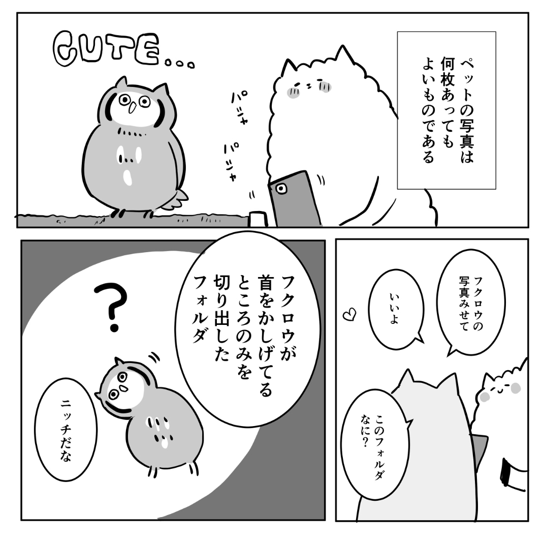 ペット飼ってる人ってこういうちょっとニッチめなフォルダがあったりす……する……するよね? 