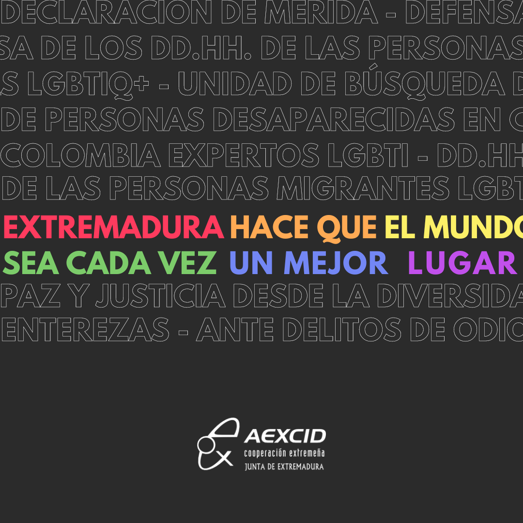 🩷 Hoy conmemoramos el #diainternacional contra la #LGTBIfobia  recordando el trabajo que impulsamos desde la AEXCID en defensa de los #DDHH de las personas #LGBTI 

@Junta_Ex @presidenciaEXT #CooperacionExtremeña #cooperacioninternacional #Diversidad