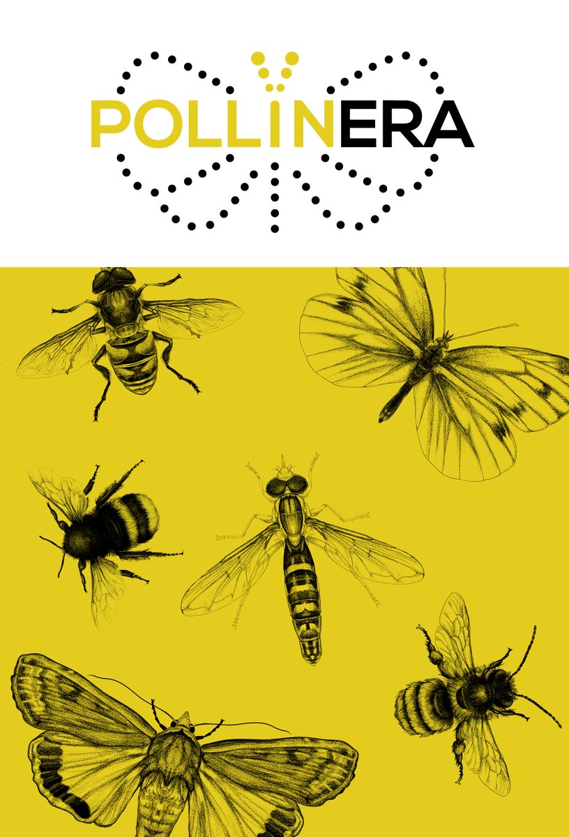 PollinERA launches an open-access project collection in the @RIOJournal📚

The first official publication is the project's #grantproposal outlining the project mission, methodology & impact📝

🔎 Learn more: pollinera-horizon.eu/news/pollinera… 
👀See the collection:  doi.org/10.3897/rio.co…