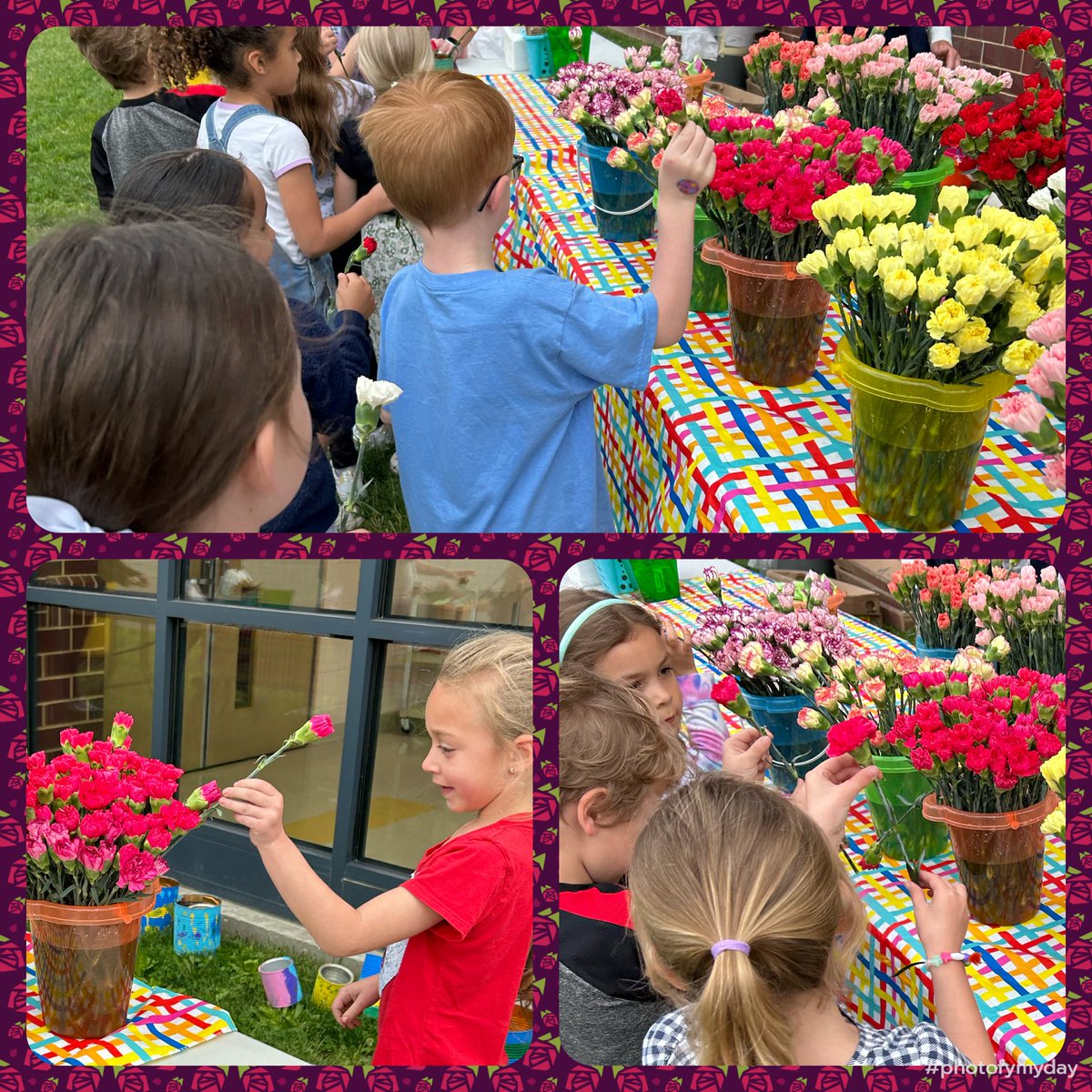 Mrs. Wiley tweet media