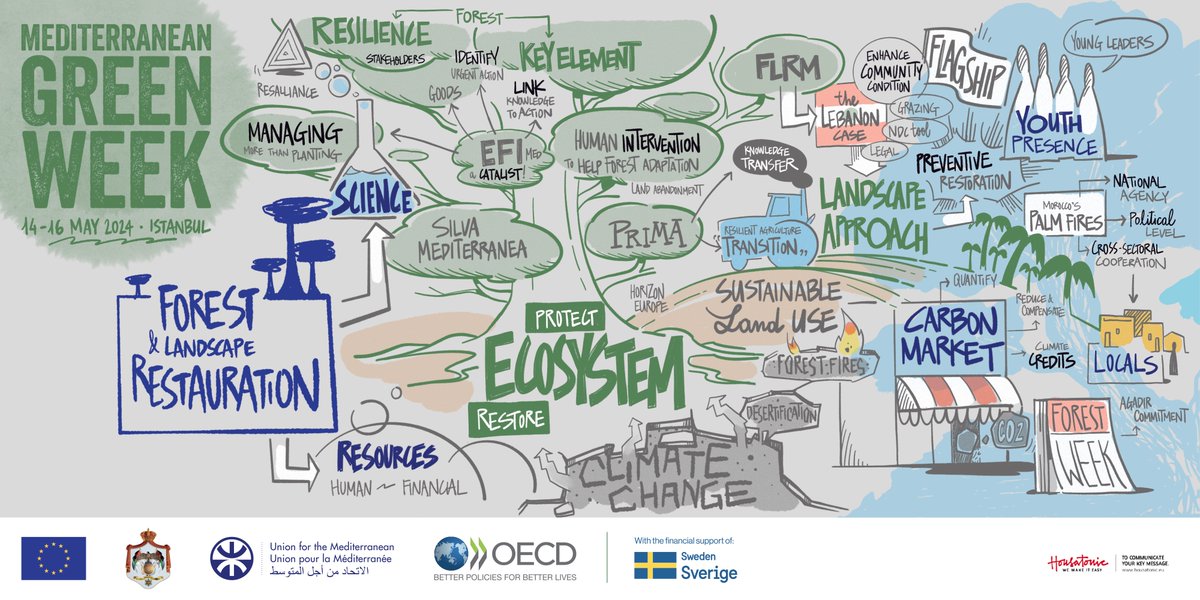 The Head of @europeanforest Mediterranean Facility, @Michele_Bozzano, & our principal scientist, @magdaboudagher, joined @UfMSecretariat for #MedGreenWeek! It was a great opportunity to talk about the upcoming 8th Mediterranean Forest Week #8MFW! Check out what was discussed 👇