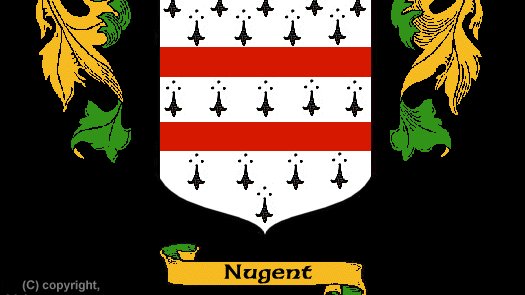 #NewEntries Born c1516, Jane Nugent was abducted and married at the age of just 11. When her husband's involvement in the Desmond & Baltinglass rebellions forced him into exile, she was imprisoned for treason ostensibly for sending him shirts. dib.ie/biography/nuge… #DIBLives