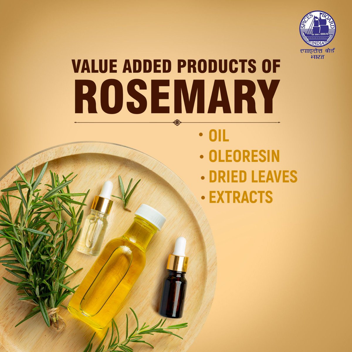 Discover the range of value-added products made from rosemary @doc_goi #spicesboard #rosemary #incrediblespicesofindia