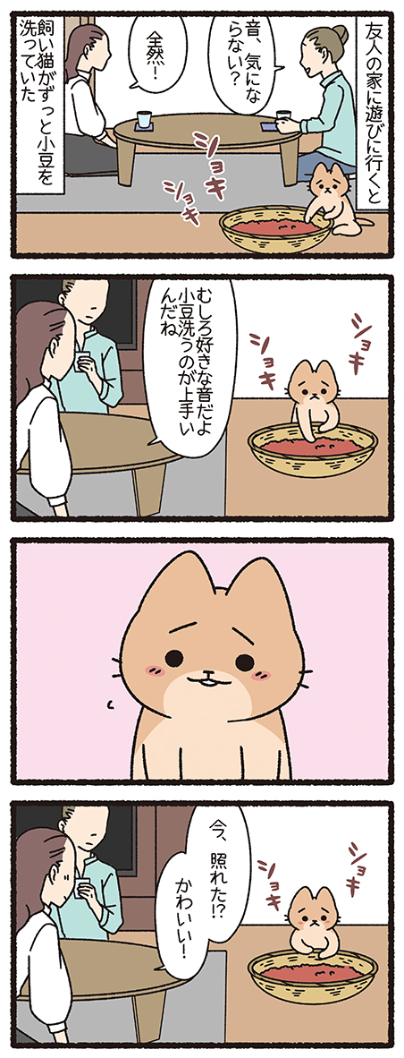 ねこようかい あずきあらい #ねこもんすたー #ねこようかい