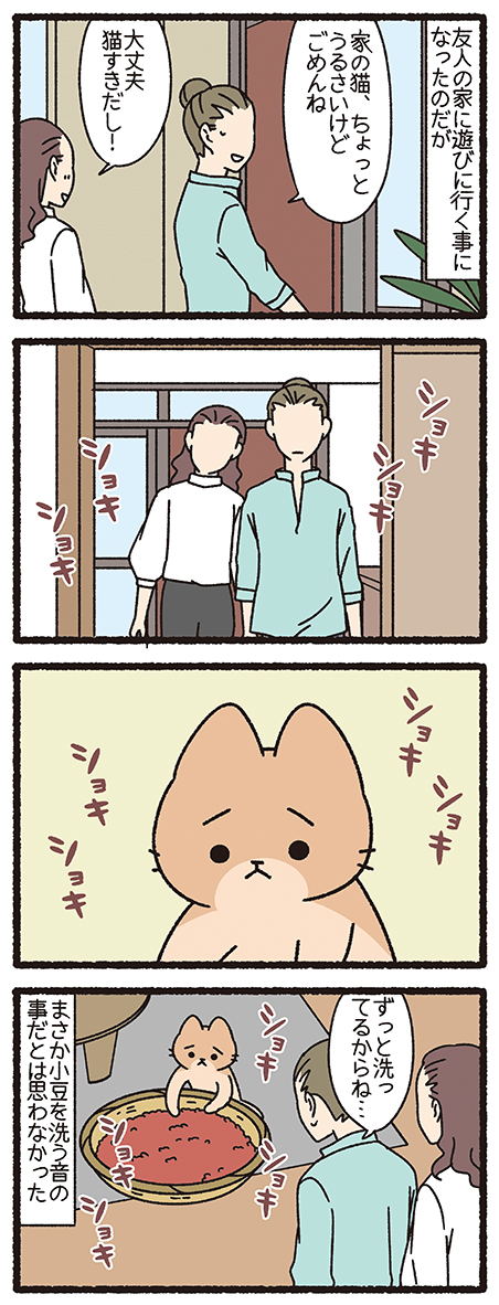 ねこようかい あずきあらい #ねこもんすたー #ねこようかい