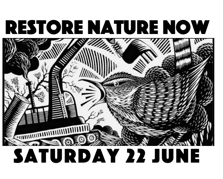 Join RIGHT TO ROAM and thousands of other free roamers, wood moochers, bog lickers, shroom swindlers, nettle fondlers, toad saluters and moss perverts raging against species extinction to demand UK politicians take action to #RestoreNatureNow. Park Lane, London 🌱 12pm, June 22