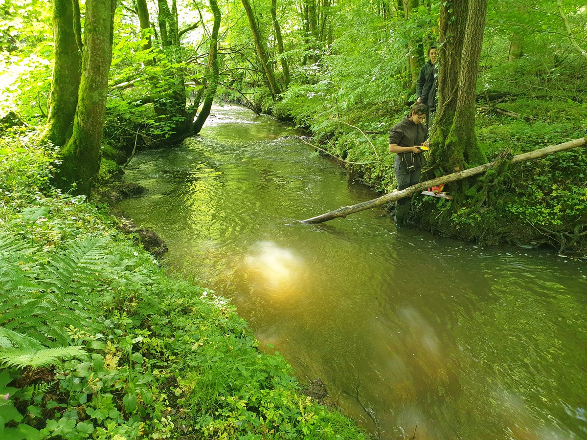 yuna_legouef's tweet image. Yesterday we went to install temperature sensors to measure the microclimate in the riparian forests with @EkoLogIt, @f_spicher and Lucile !🌡💧🌳